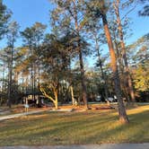 Review photo of Blackwater River State Park Campground by Nicholas S., February 7, 2022