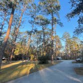 Review photo of Blackwater River State Park Campground by Nicholas S., February 7, 2022