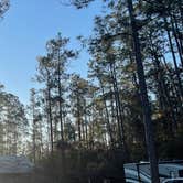 Review photo of Blackwater River State Park Campground by Nicholas S., February 7, 2022