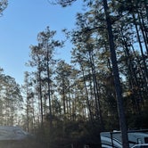 Review photo of Blackwater River State Forest Coldwater Creek by Nicholas S., February 7, 2022
