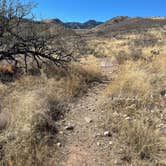 Review photo of Kartchner Caverns State Park Campground by Sara P., February 7, 2022