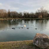 Review photo of Around Pond RV Park by Ben P., February 8, 2022