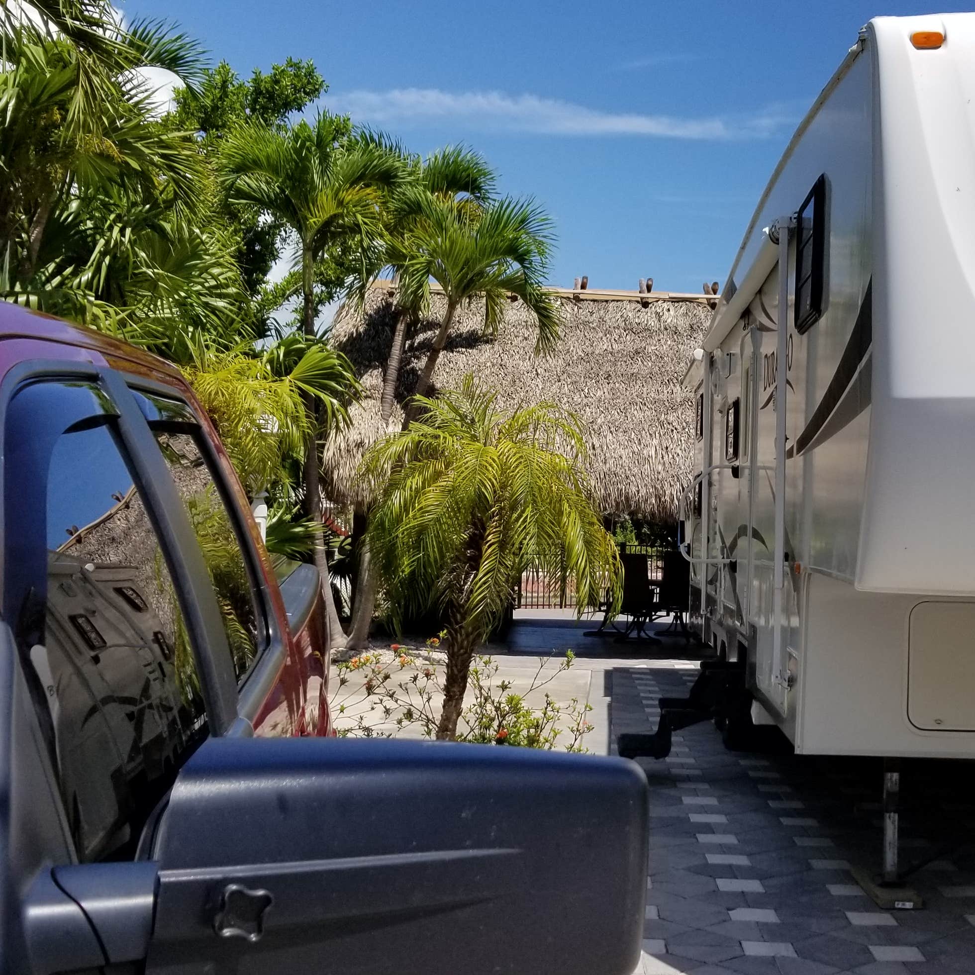 Bluewater Key RV Resort Camping The Dyrt