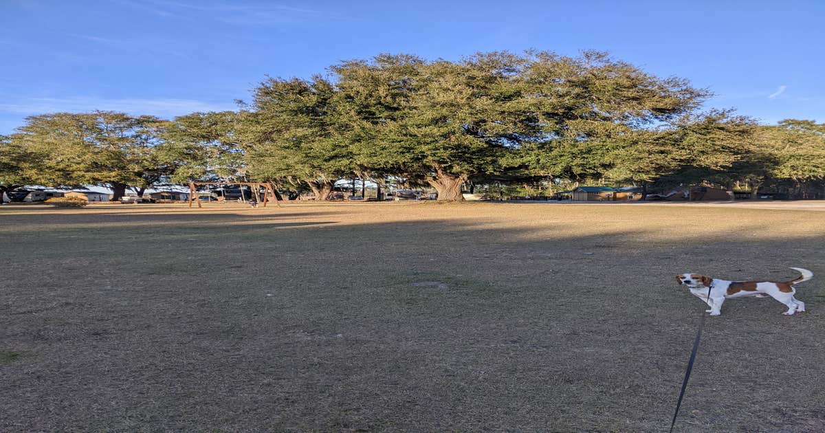 Hidden Marina & Campground - Main photo