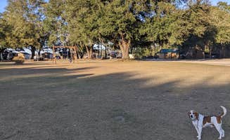 E. M.'s photo of camping with pets at Hidden Marina & Campground near Mount Pleasant, SC