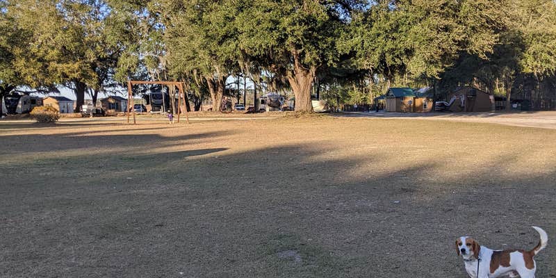 Camper submitted image from Hidden Marina & Campground