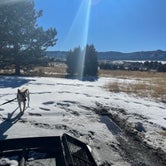 Review photo of Chatfield State Park Campground by sunny B., February 8, 2022