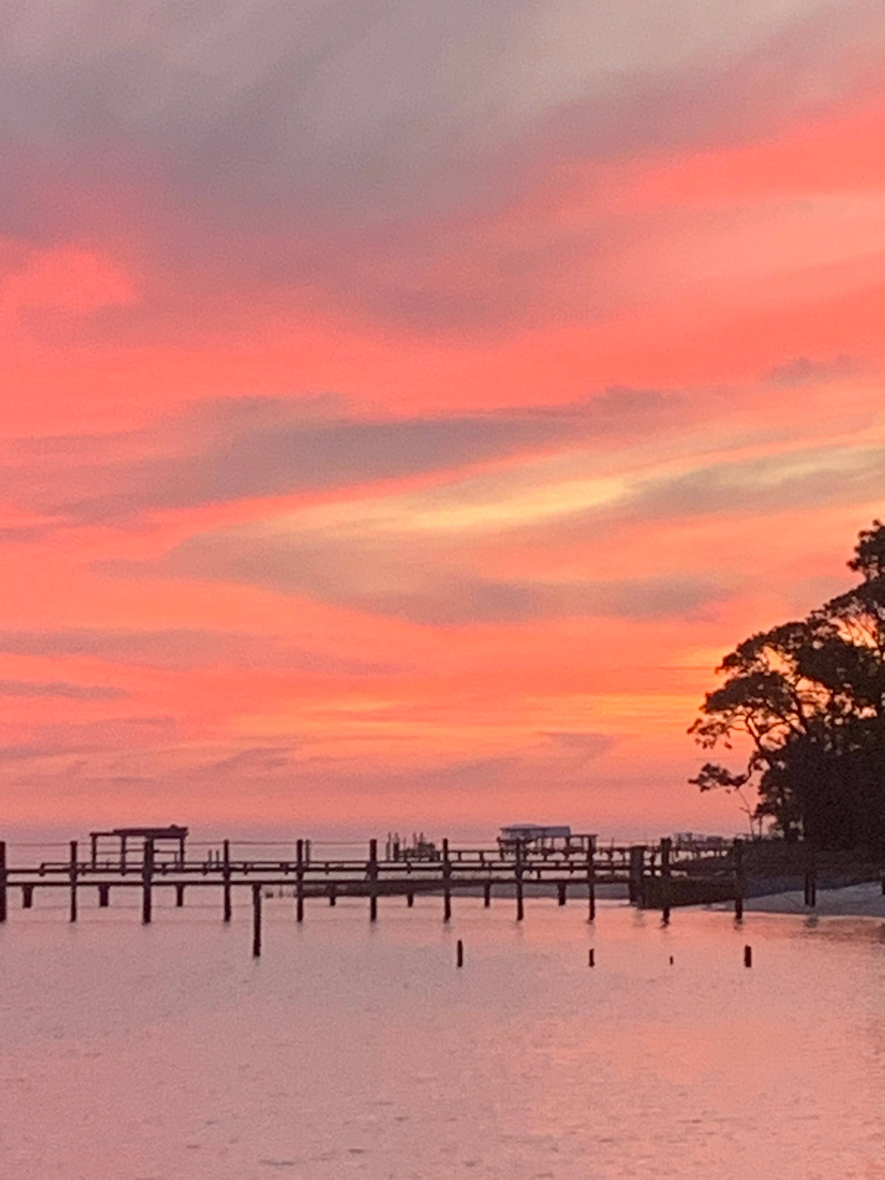 Camper submitted image from Boondocks at Carrabelle, Fl - 3