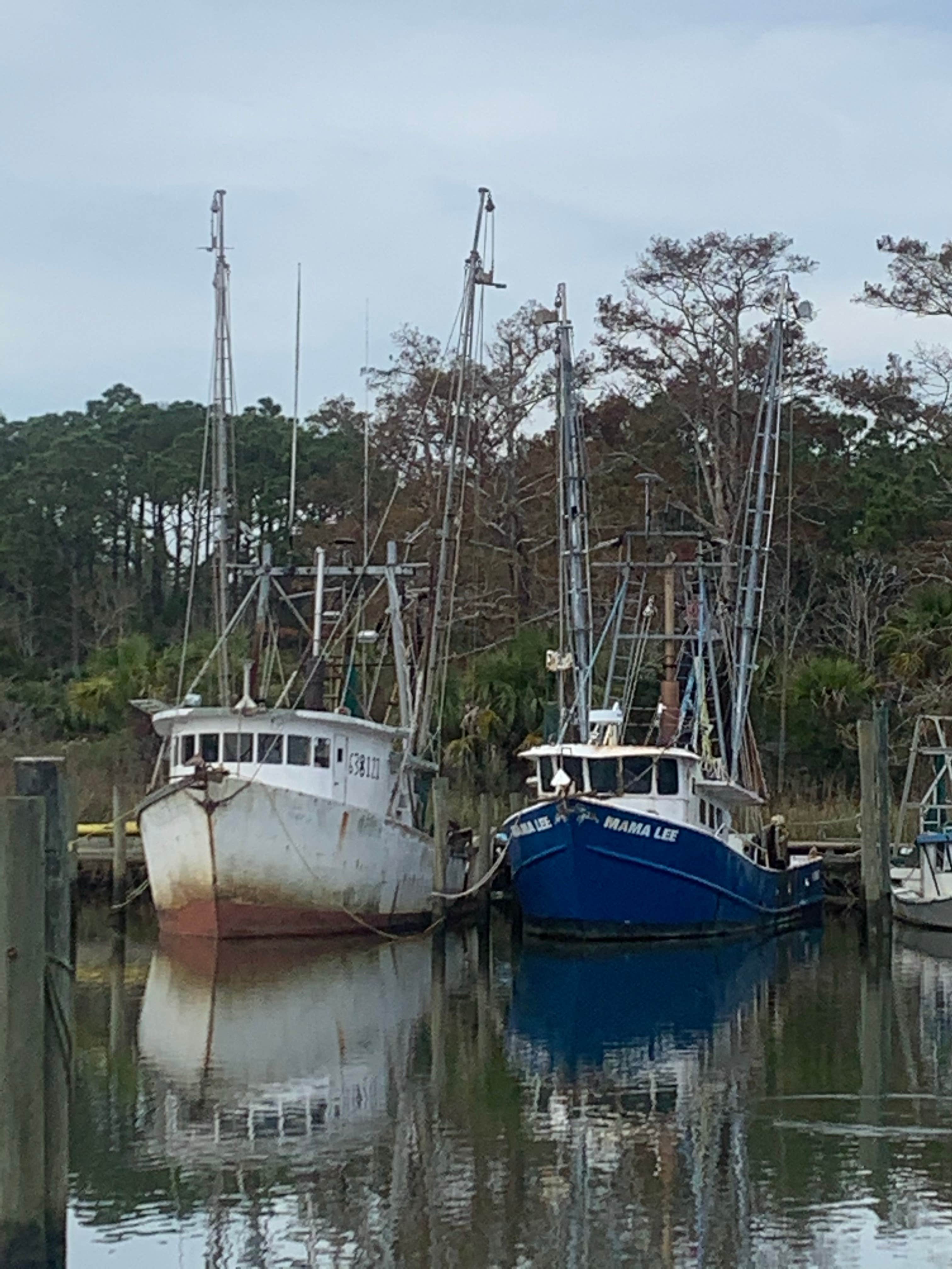 Camper submitted image from Boondocks at Carrabelle, Fl - 4