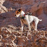 Review photo of Hot Well Dunes Recreation Area by Wendie K., February 8, 2022