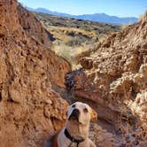 Review photo of Hot Well Dunes Recreation Area by Wendie K., February 8, 2022