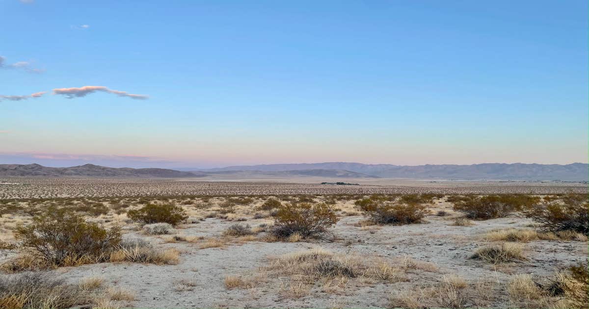 Wanderlust Getaways Joshua Tree Camping | Joshua Tree, CA