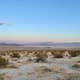 Wanderlust Getaways Joshua Tree