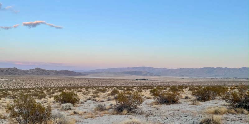 Camper submitted image from Wanderlust Getaways Joshua Tree