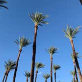 Review photo of Thousand Trails Palm Springs by Kelsey B., February 9, 2022