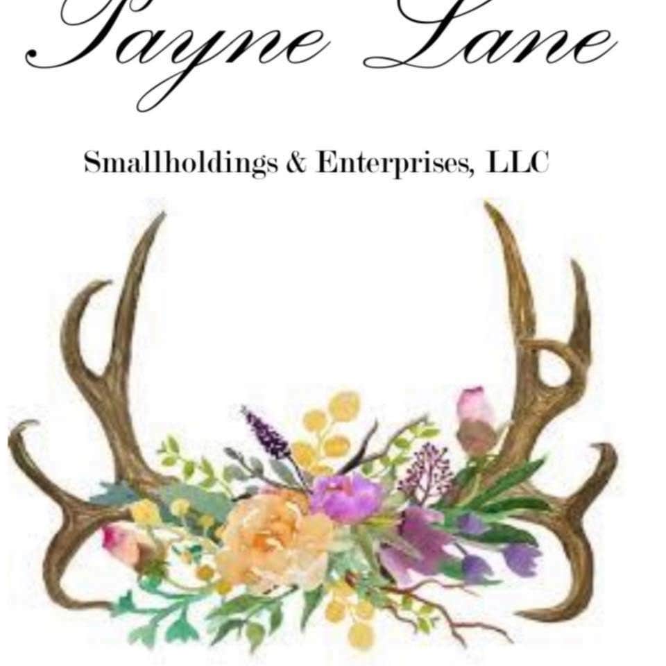 Camper-submitted photo at Payne Lane Farms near Pioneer, LA