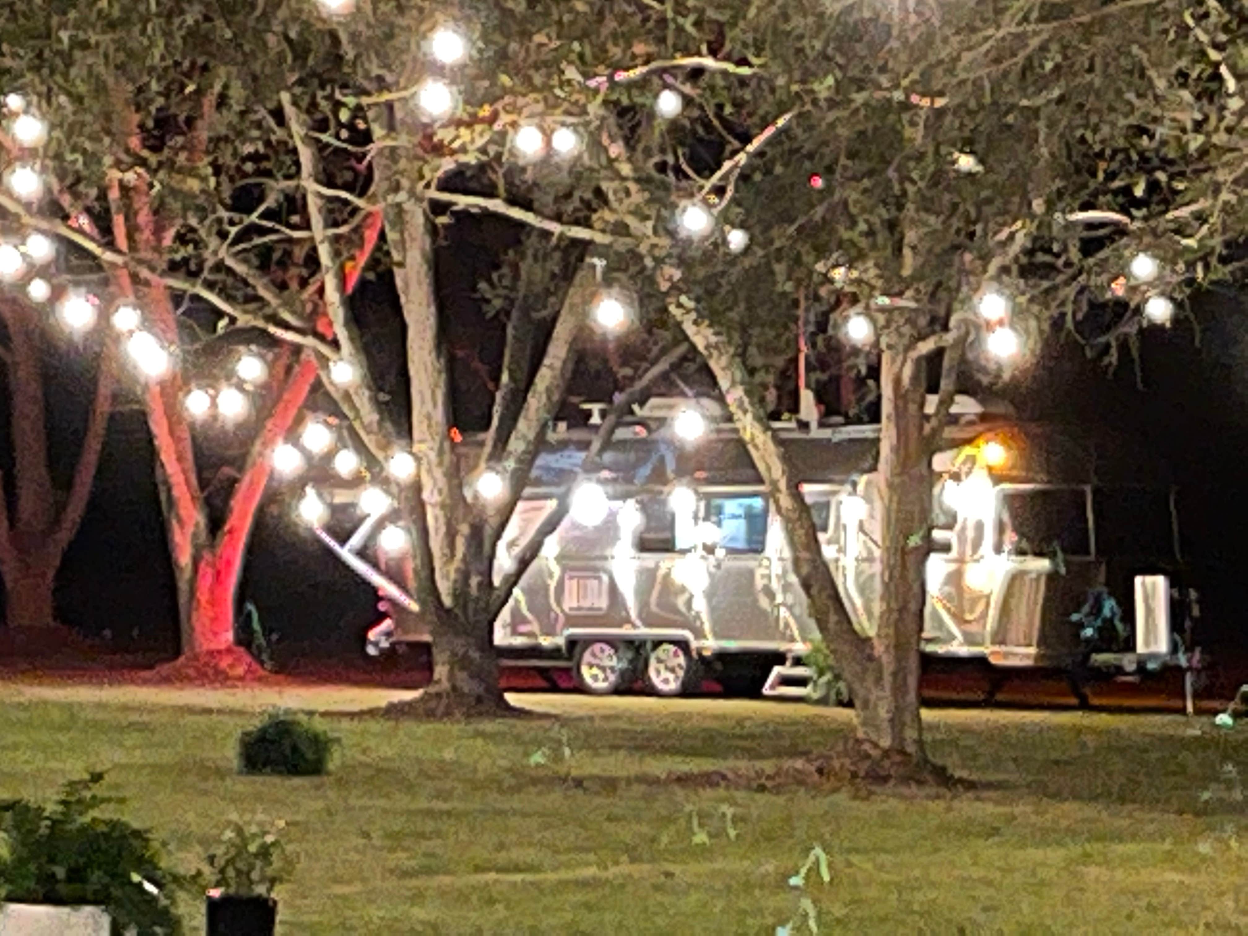 Camping near Pecanland RV Park: Payne Lane Farms, Delhi, Louisiana