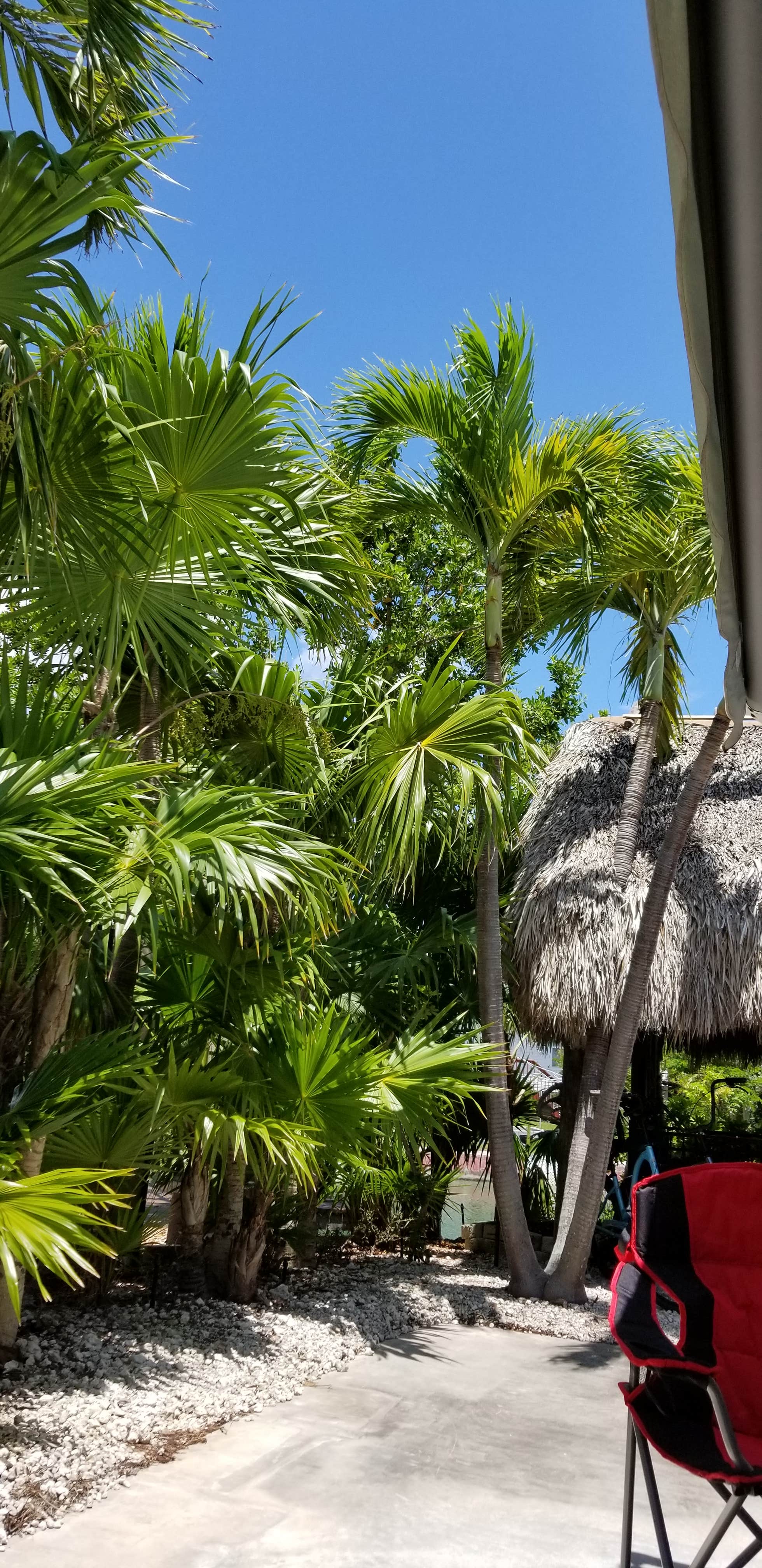 Camper-submitted photo at Bluewater Key RV Resort near Summerland Key, FL