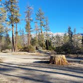 Review photo of Hurkey Creek Park by Maxine R., February 9, 2022