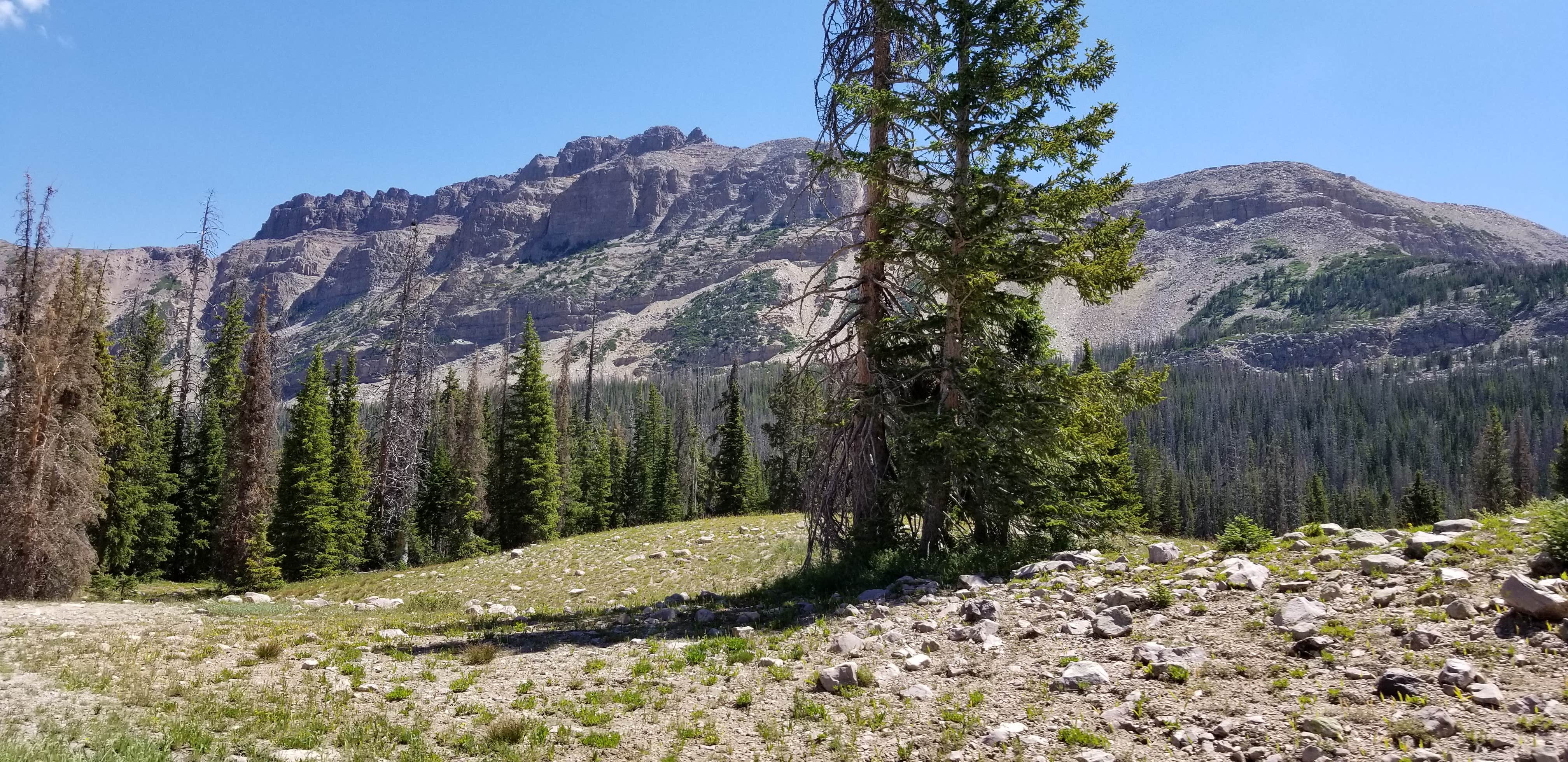 Camper-submitted photo at Wasatch National Forest Stillwater Campground near Evanston, WY