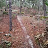 Review photo of Ross Prairie Campground by Kathie E., February 9, 2022