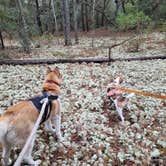 Review photo of Ross Prairie Campground by Kathie E., February 9, 2022