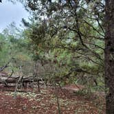 Review photo of Ross Prairie Campground by Kathie E., February 9, 2022