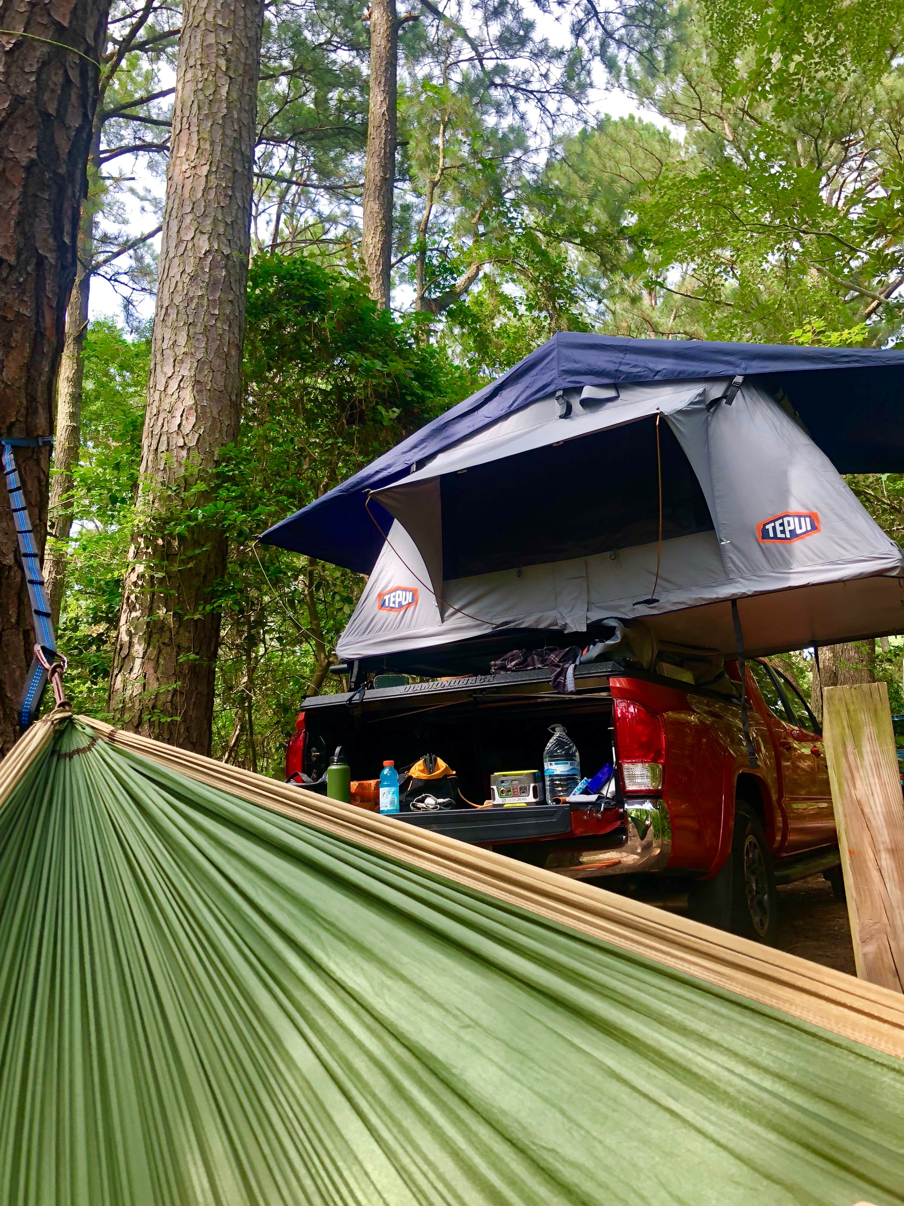 Naomi J.'s photo at First Landing State Park Campground near Hampton, VA