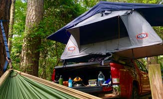 Naomi J.'s photo at First Landing State Park Campground near Cheriton, VA