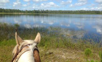 Jennifer L.'s photo of camping with a horse at Doe Lake Campground near Lacoochee, FL