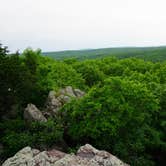 Review photo of Bell Mountain Wilderness Area by Loren G., July 9, 2018