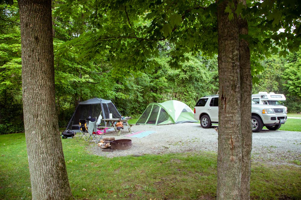 Camper submitted image from Potato Creek State Park Campground - 5