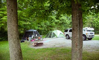 Meg S.'s photo at Potato Creek State Park Campground near Tippecanoe, IN