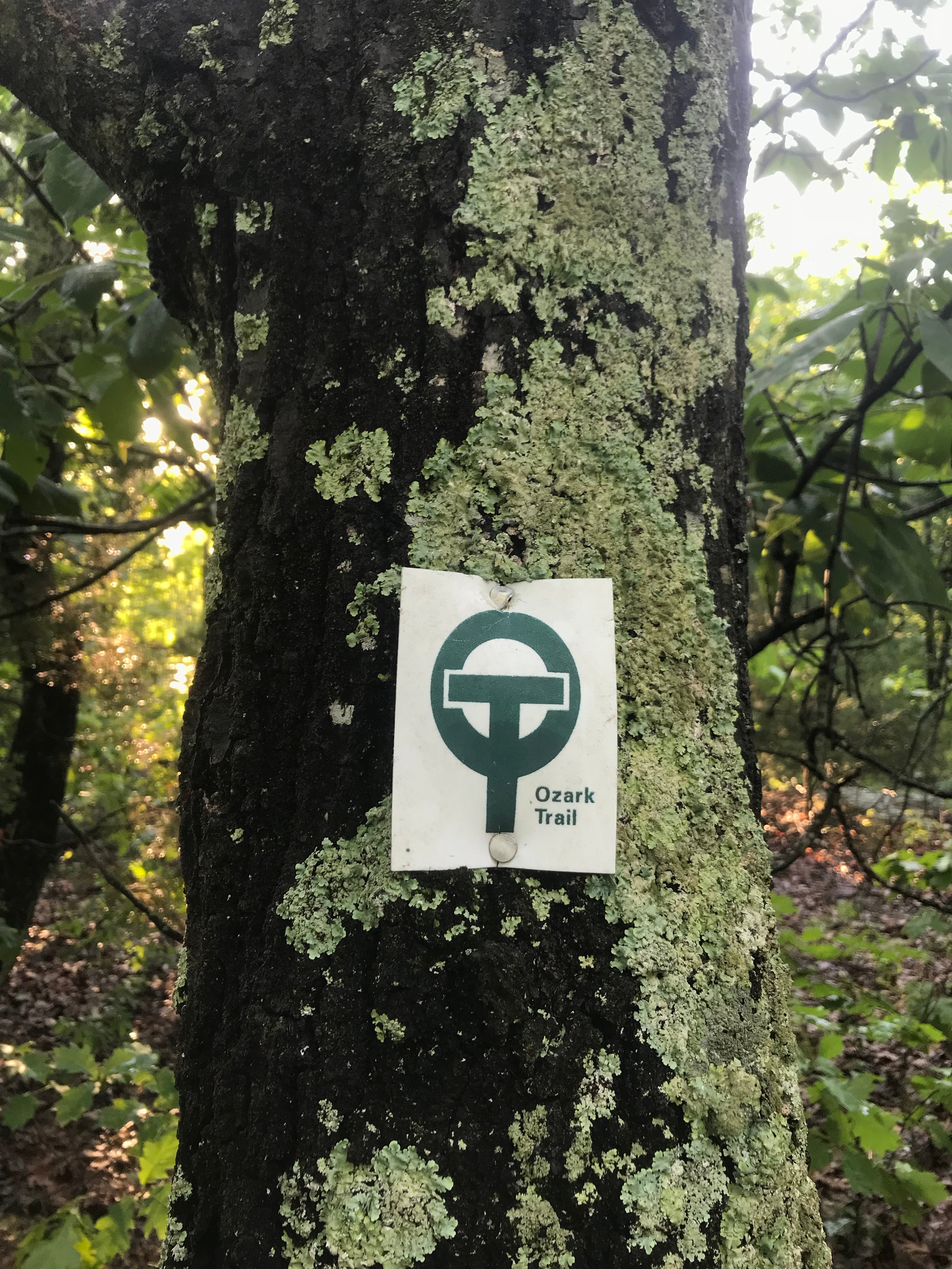 Ozark Trail tags normally can only be found on a single side of the tree so take your time when attempting to find the trail. 