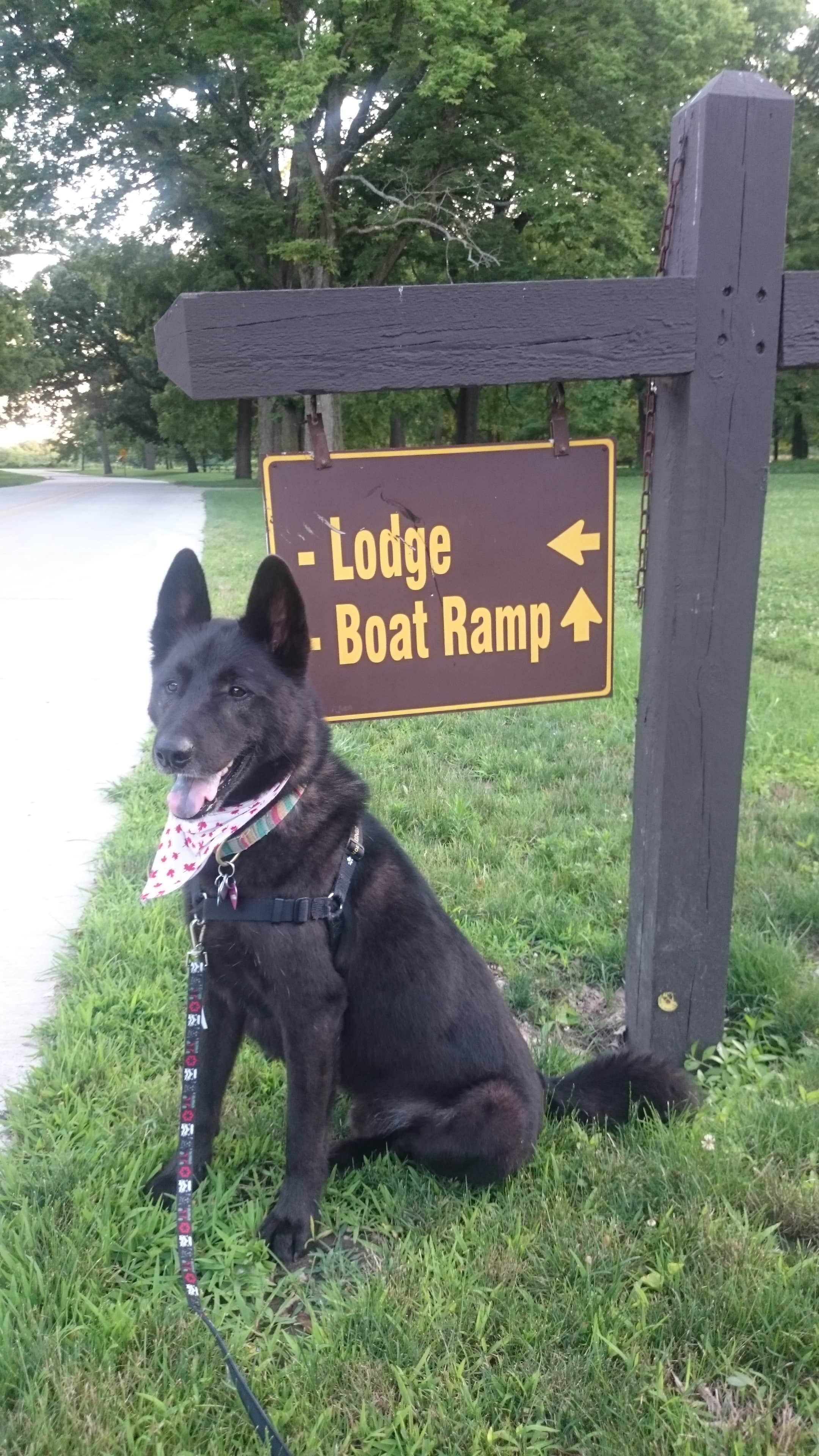 Daniel  B.'s photo of camping with pets at Walnut Woods State Park Campground near Des Moines, IA