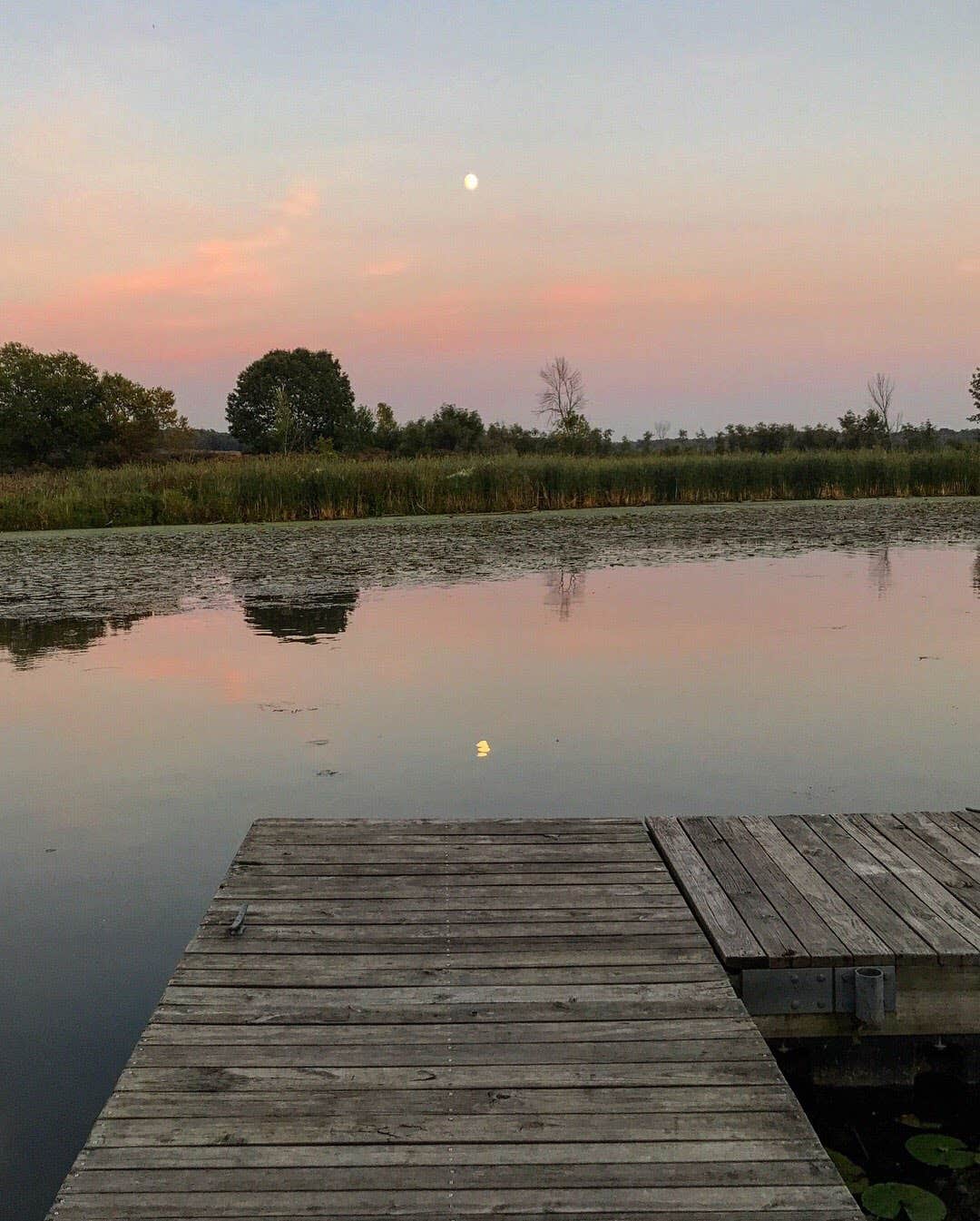 Camper submitted image from Shabbona Lake State Recreation Area - 4
