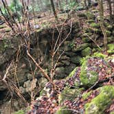 Review photo of Blue Hole Campground — Florida Caverns State Park by Jennifer L., July 9, 2018