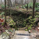 Review photo of Blue Hole Campground — Florida Caverns State Park by Jennifer L., July 9, 2018