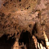 Review photo of Blue Hole Campground — Florida Caverns State Park by Jennifer L., July 9, 2018