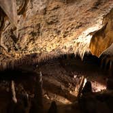 Review photo of Blue Hole Campground — Florida Caverns State Park by Jennifer L., July 9, 2018