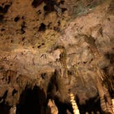 Review photo of Blue Hole Campground — Florida Caverns State Park by Jennifer L., July 9, 2018