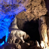 Review photo of Blue Hole Campground — Florida Caverns State Park by Jennifer L., July 9, 2018