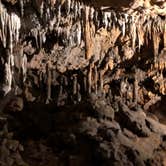 Review photo of Blue Hole Campground — Florida Caverns State Park by Jennifer L., July 9, 2018