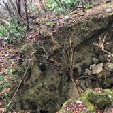 Review photo of Blue Hole Campground — Florida Caverns State Park by Jennifer L., July 9, 2018