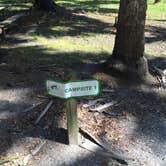 Review photo of Mullet Lake Park by Billy A., June 15, 2015