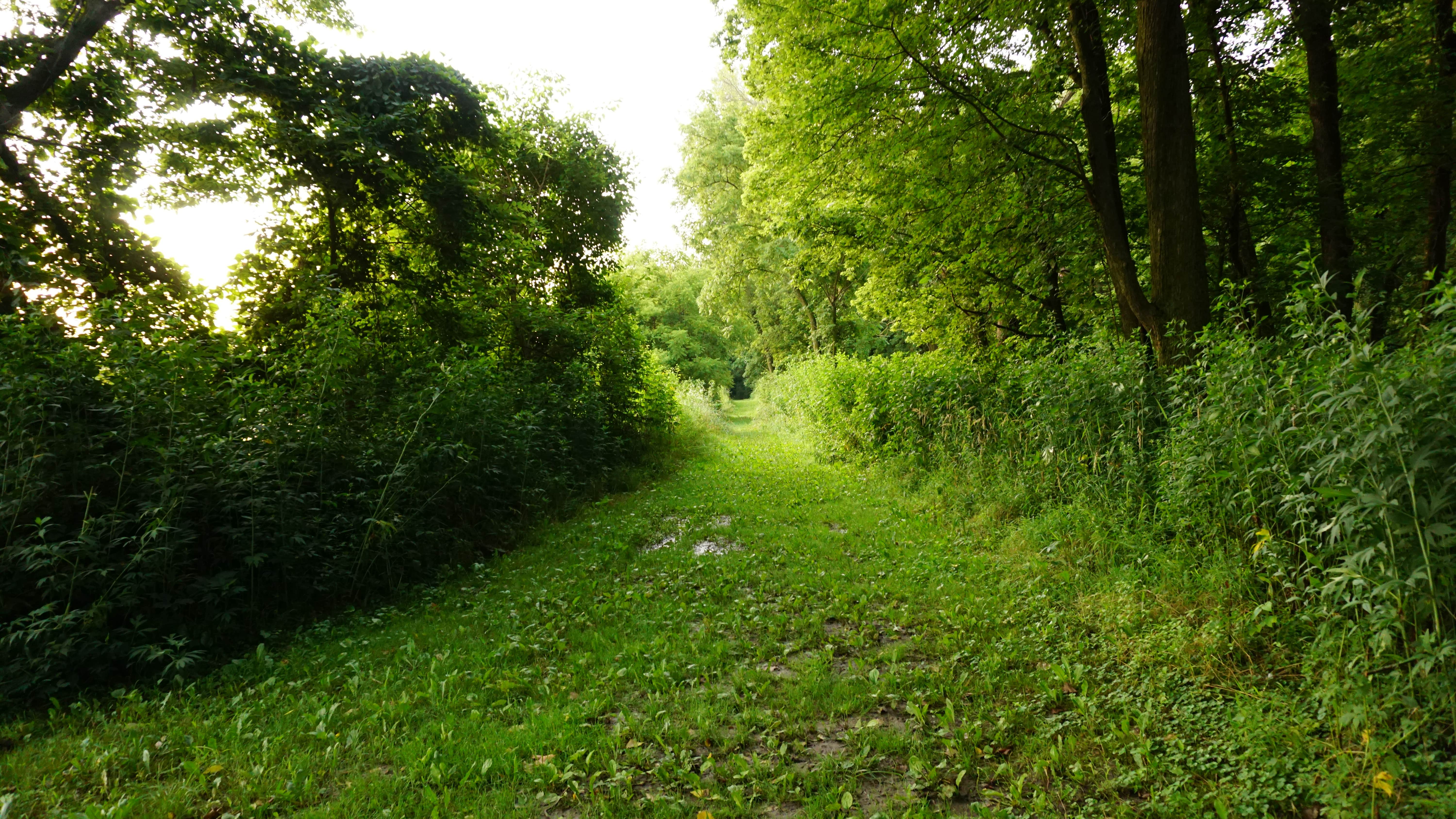 Camper submitted image from Walnut Woods State Park Campground - 3