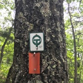 Review photo of Taum Sauk Mountain State Park Campground by Loren G., July 9, 2018