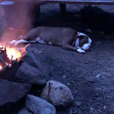 Review photo of Cloudland Canyon State Park Campground by Kim S., July 9, 2018