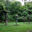 Review photo of Walnut Woods State Park Campground by Daniel B., July 25, 2016