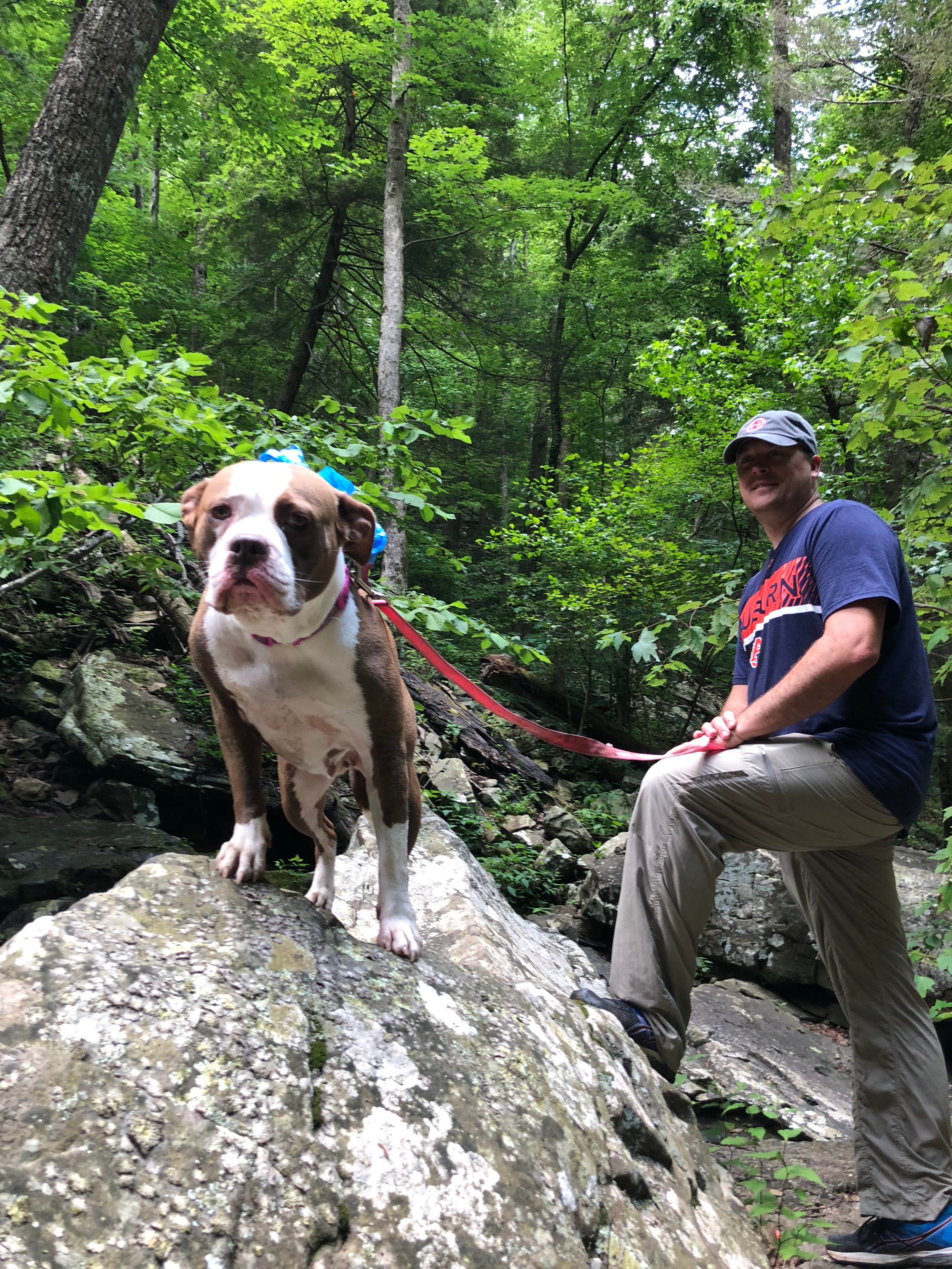 Kim S.'s photo of camping with pets at Cloudland Canyon State Park Campground near Whiteside, TN